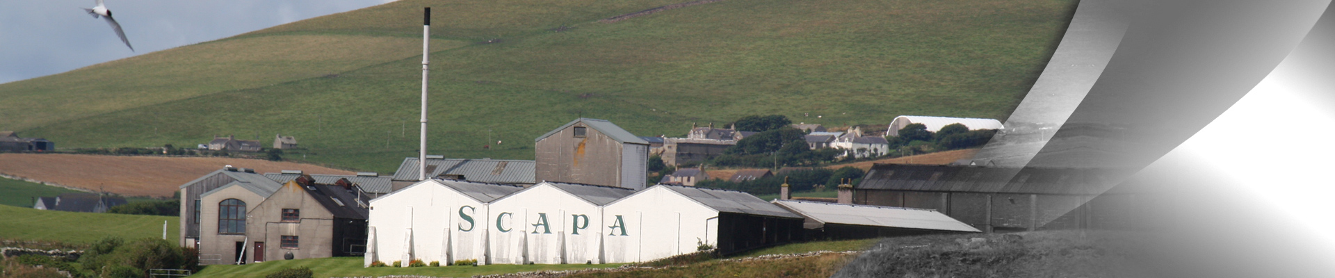 Scapa Scapa