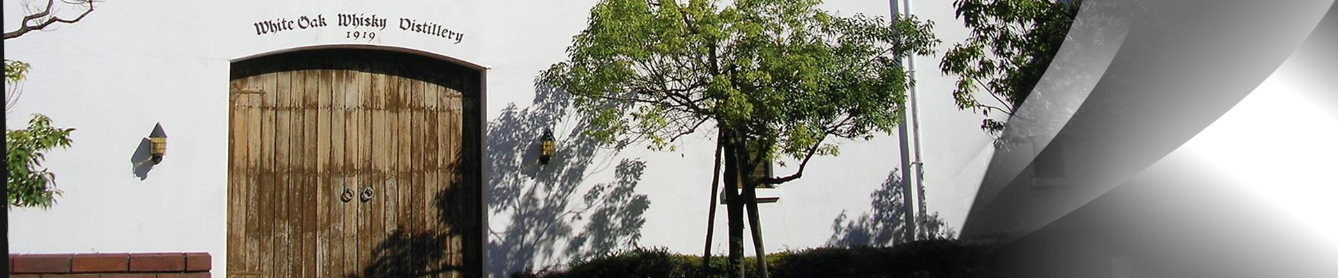 White Oak White Oak